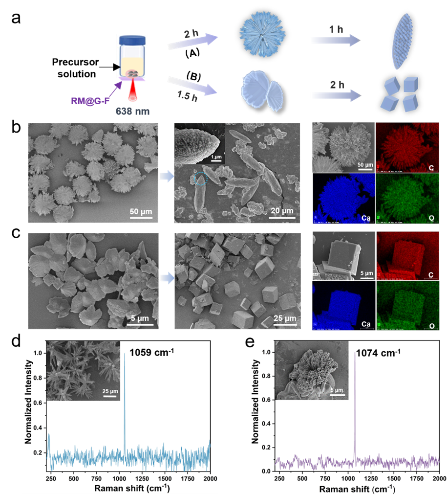 日历 AI 生成的内容可能不正确。 日历 AI 生成的内容可能不正确。