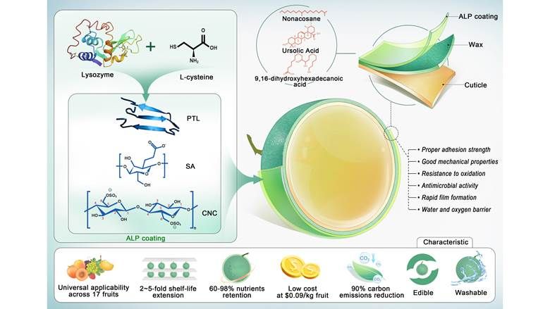 图示 AI 生成的内容可能不正确。 图示 AI 生成的内容可能不正确。