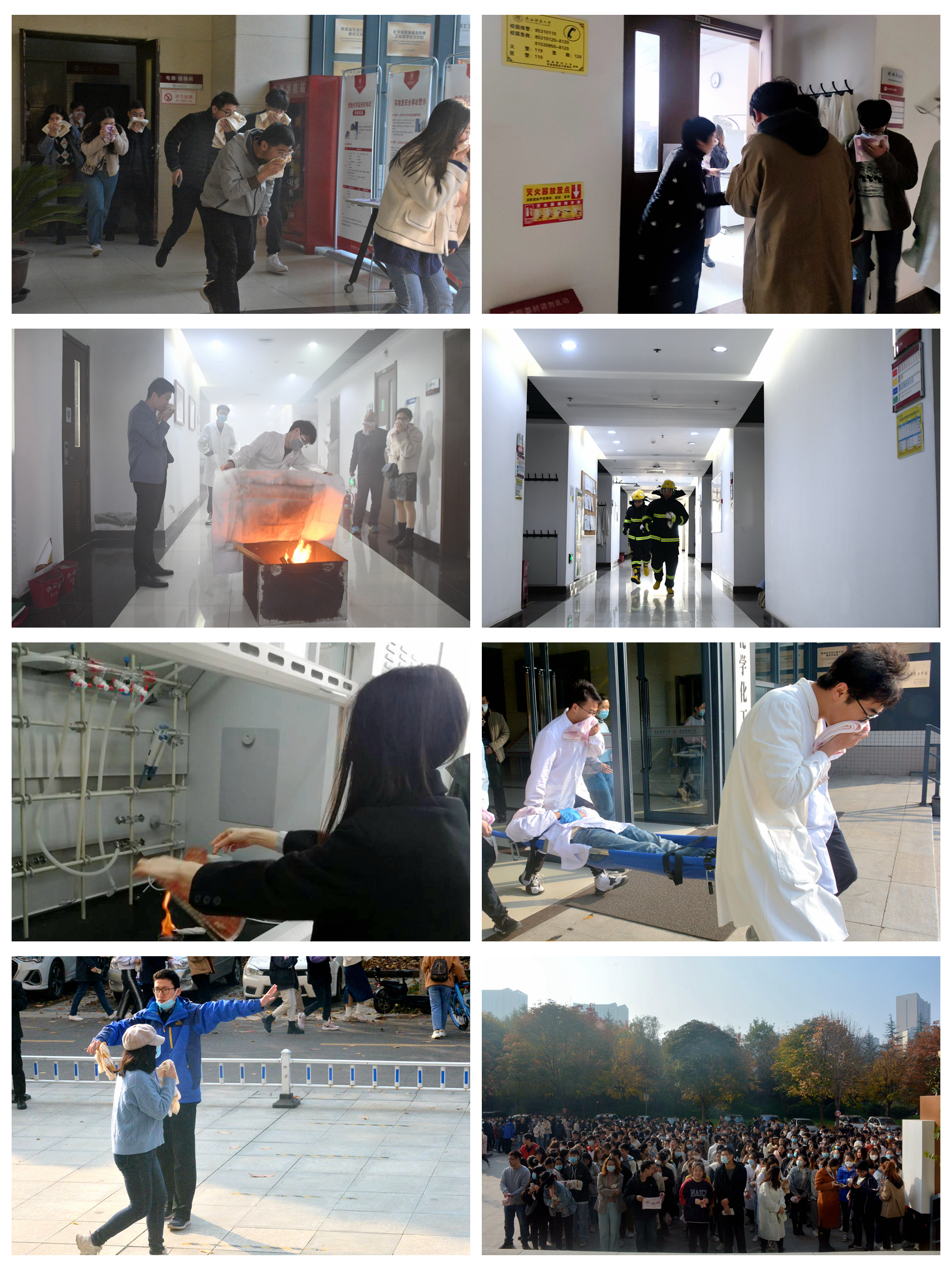 各个项目拼图.jpg 各个项目拼图.jpg