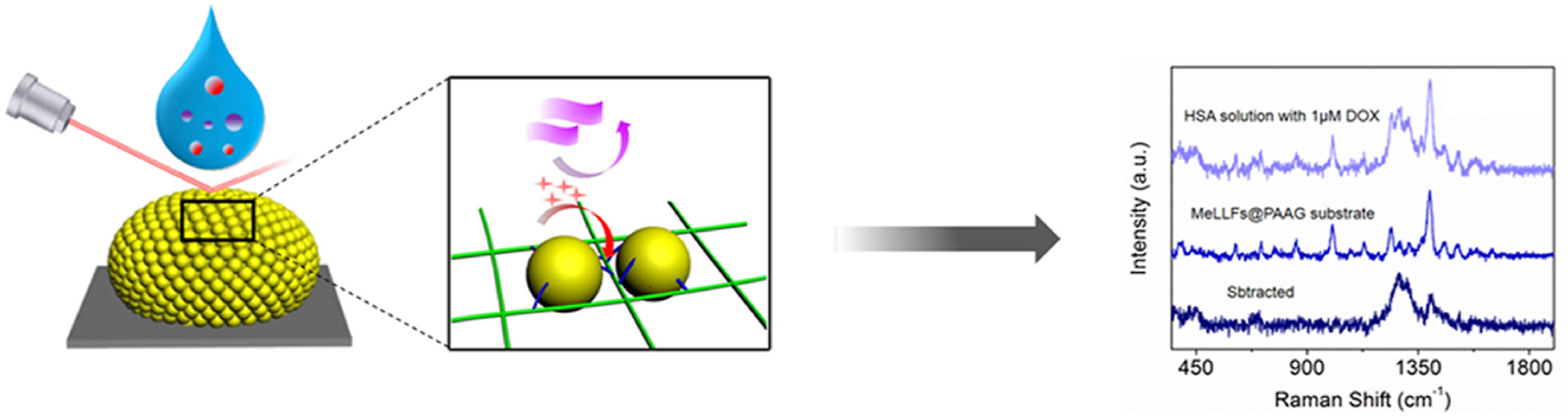 1-s2.0-S0039914021005993-ga1_lrg.jpg 1-s2.0-S0039914021005993-ga1_lrg.jpg